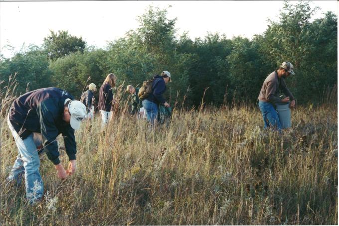 Seed collection at Holland Sand Prairie
