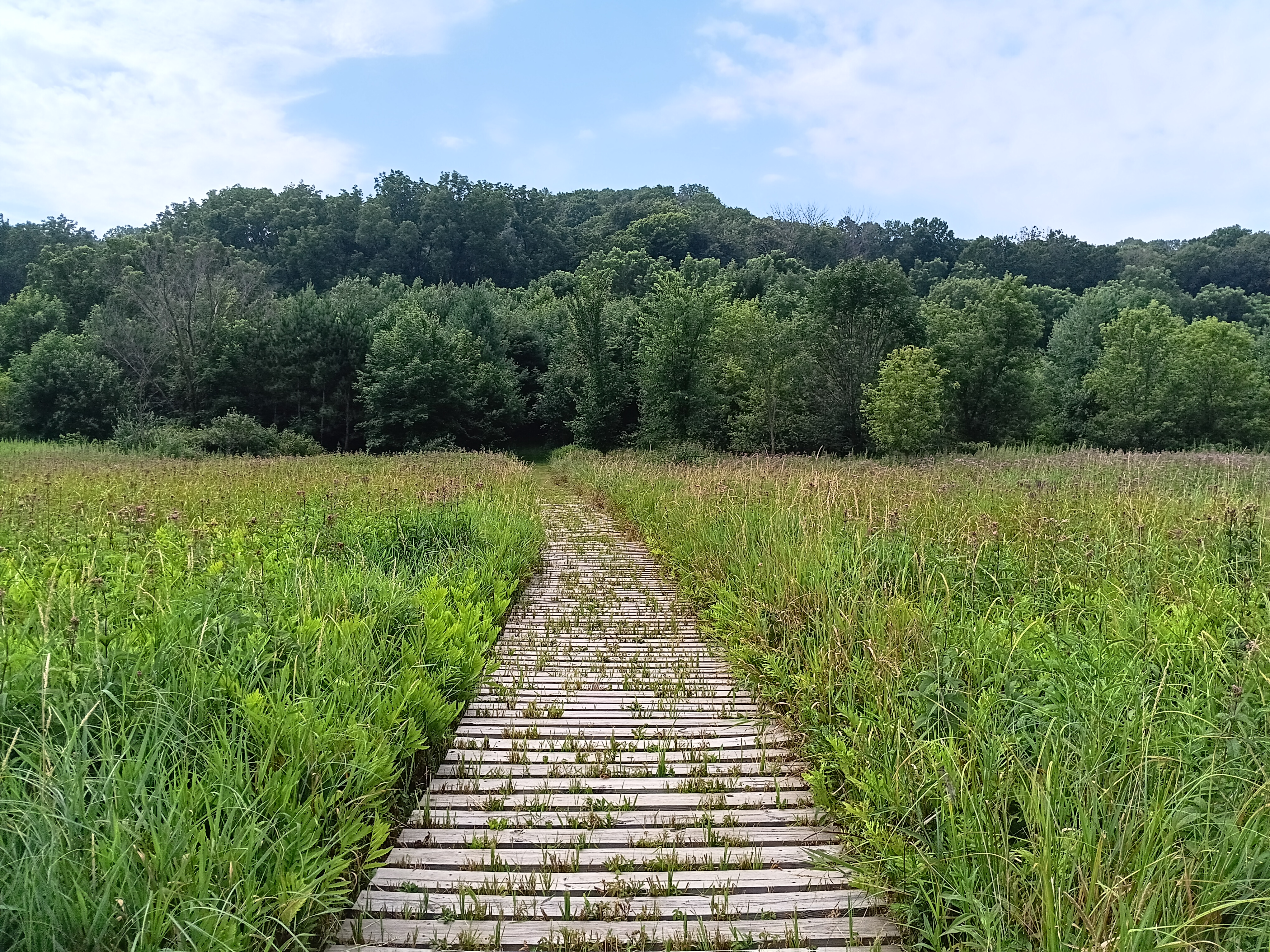 path