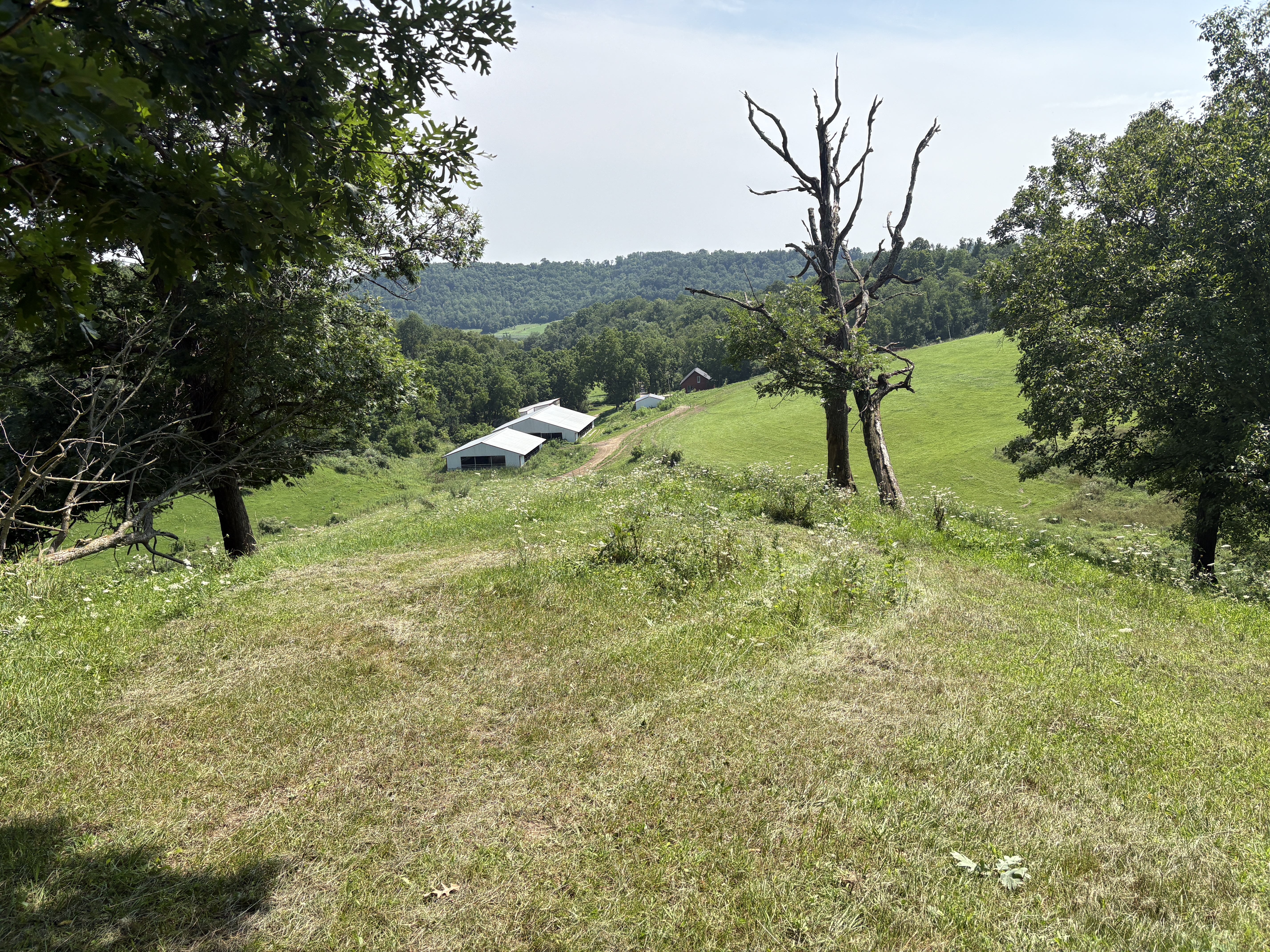 view of farm
