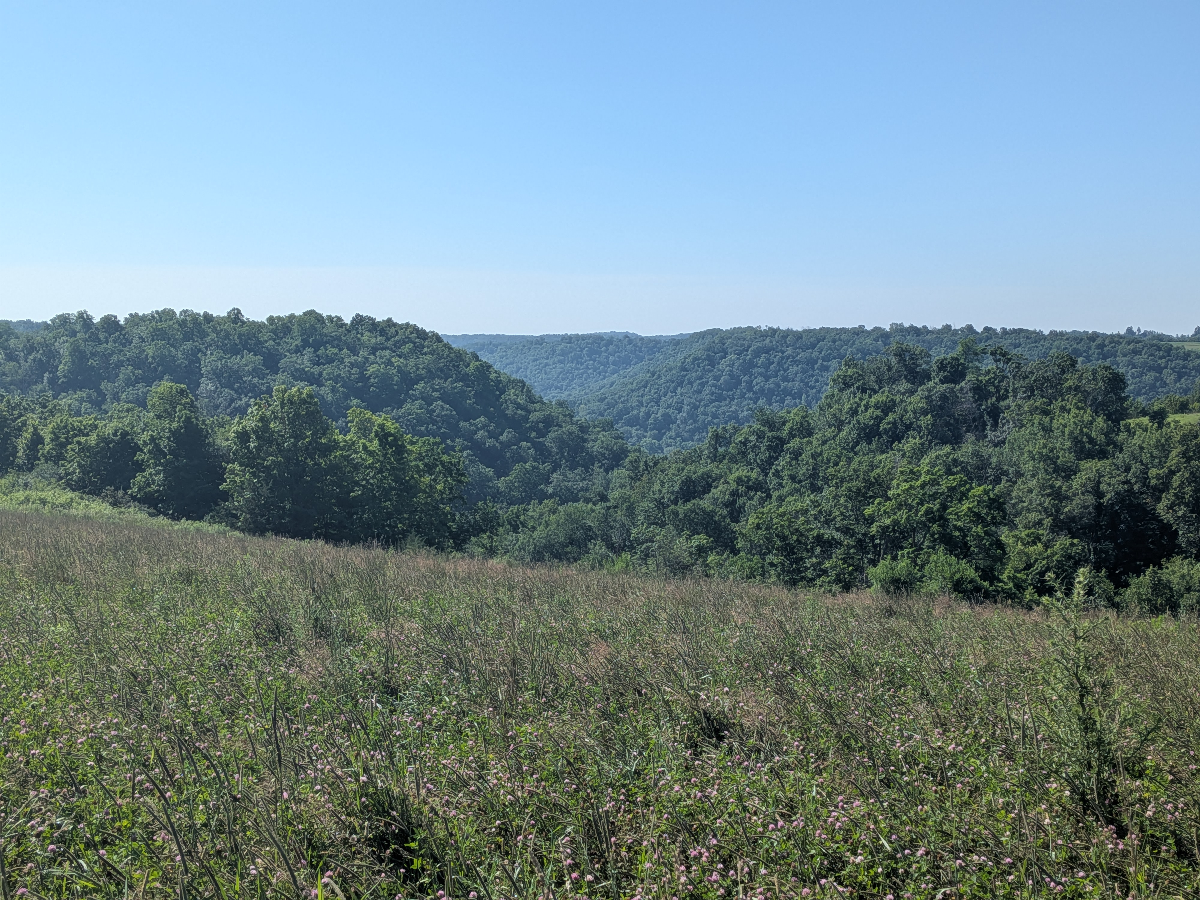 bluff view