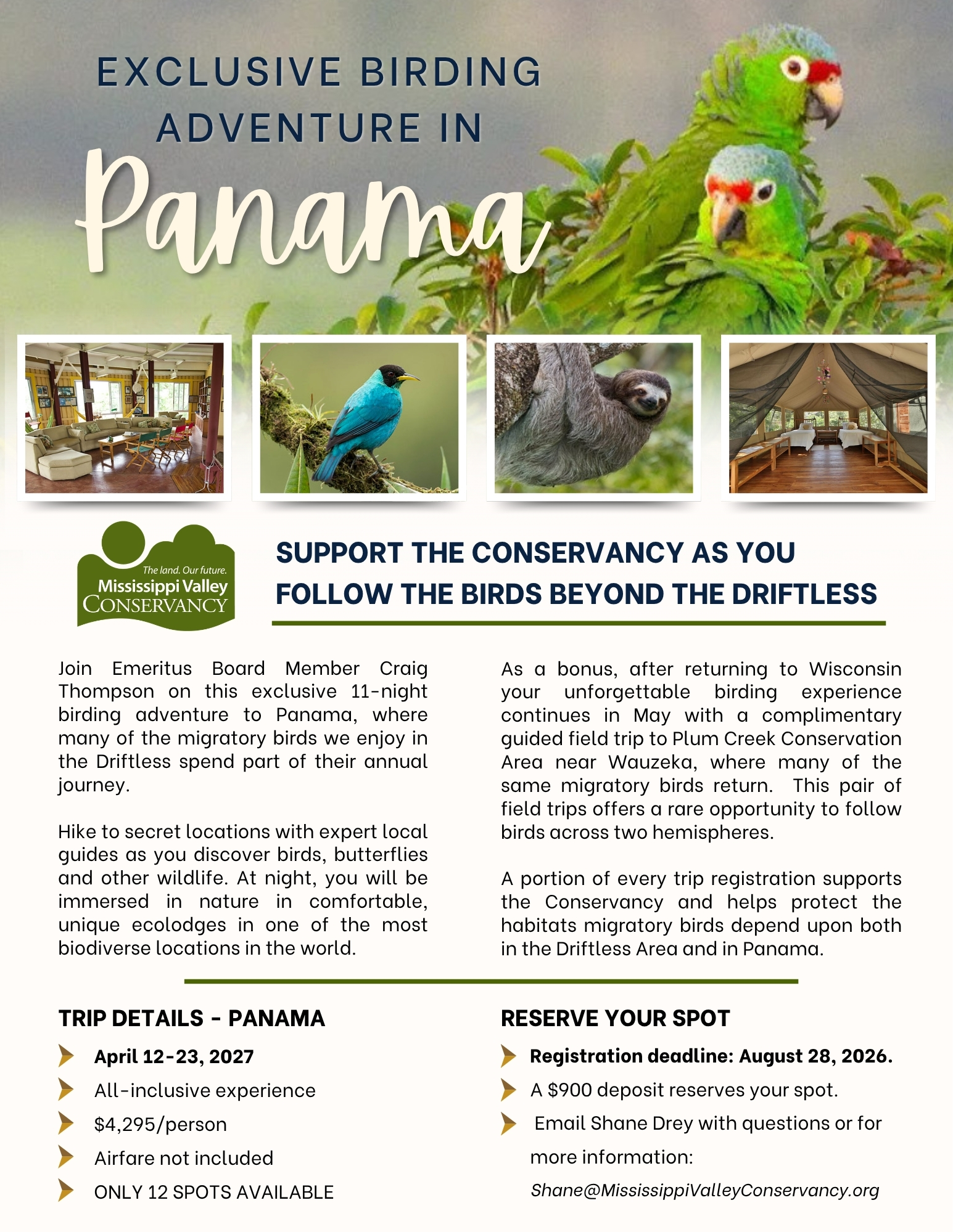 flyer