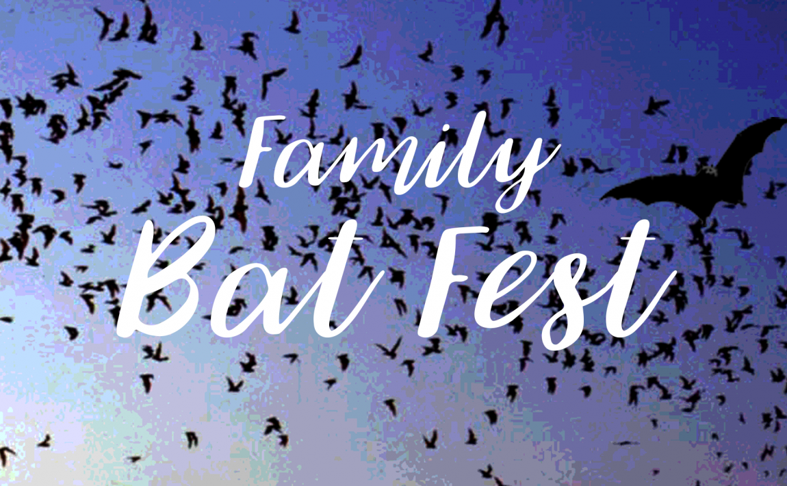 Family Bat Fest
