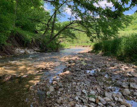 image of Chase Creek at Devil's Backbone State Natural Area