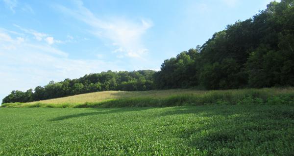 La Crosse County farmland