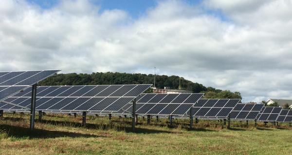solar panels with grazing at Sinsinawa Mound