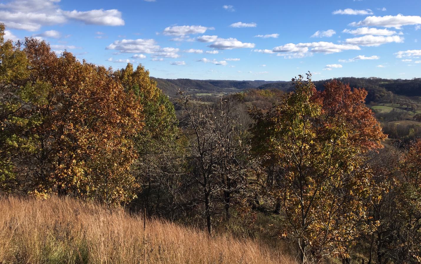view from a ridge at Tunnelville Cliffs nature preserve – a state natural area