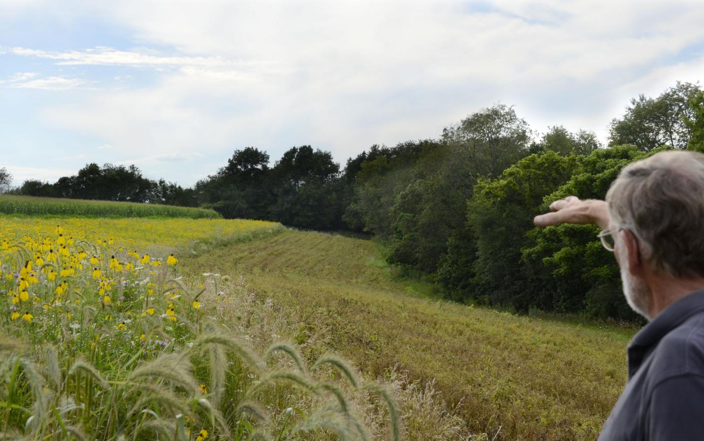 David Van Dyke showing the prairie strips he's developed on his cropland.