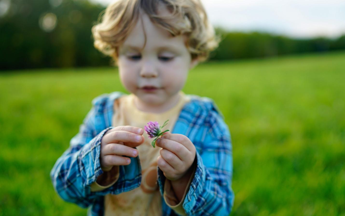 Picture of young boy holding a flower