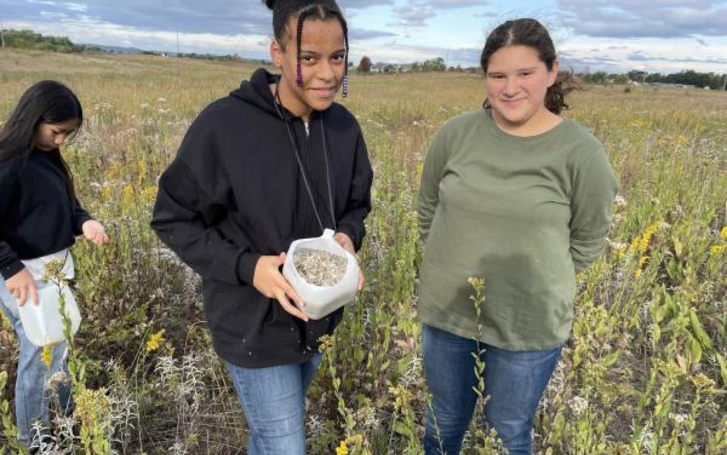 students harvesting prairie seeds