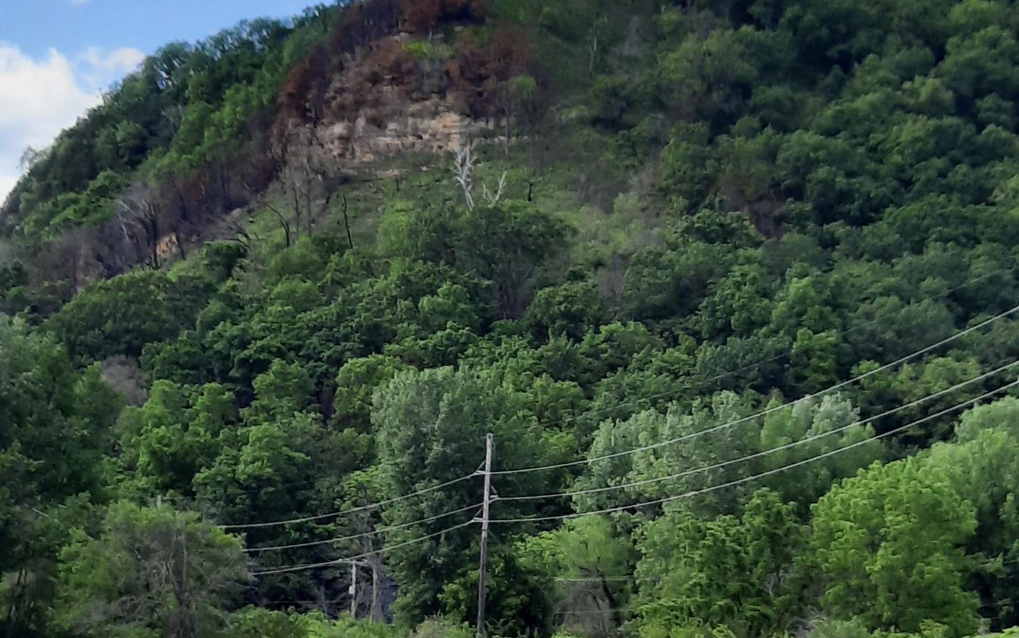 Angel Bluff