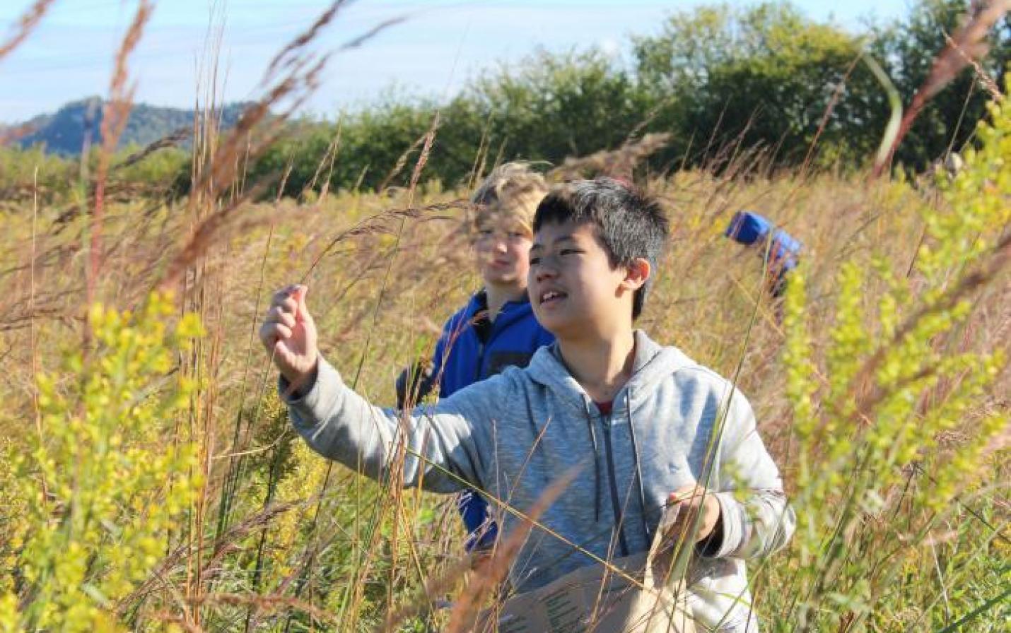 students collecting prairie seeds