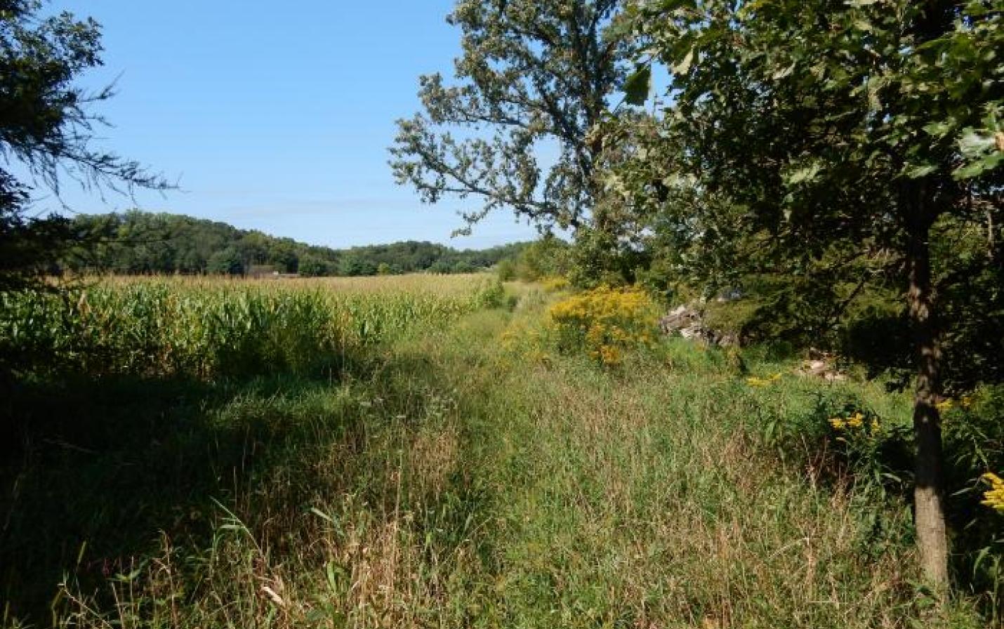 farmland with woodland protected