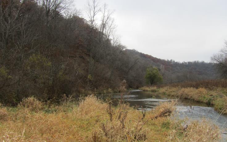 Bad Axe River in Eagle Eye State Natural Area