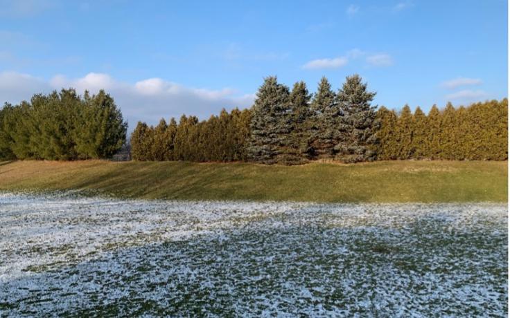 Light snow over a green field with pine trees boardering the outside of the property.