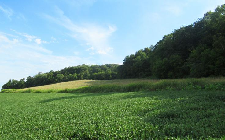 La Crosse County farmland