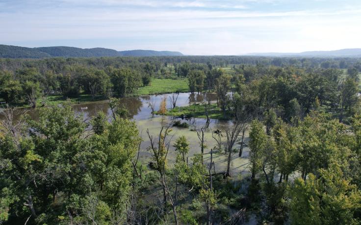 Woodman Floodplain State Natural Area