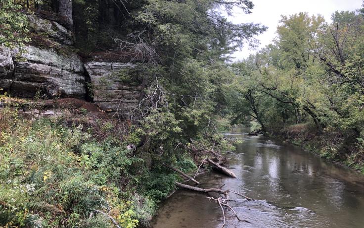 View along the recently acquired Kickapoo Valley Reserve addition