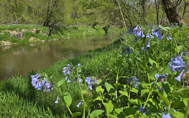 An 17-acres parcel on the Kickapoo River corridor is now protected by a conservation easement forever