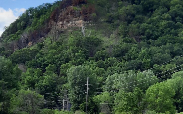Angel Bluff 