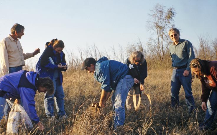 seed collection at Holland Sand Prairie
