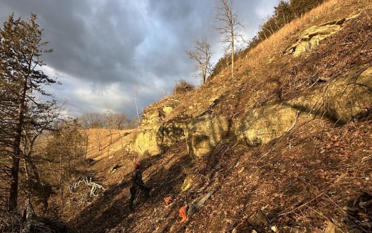 Juniper Partners restoration