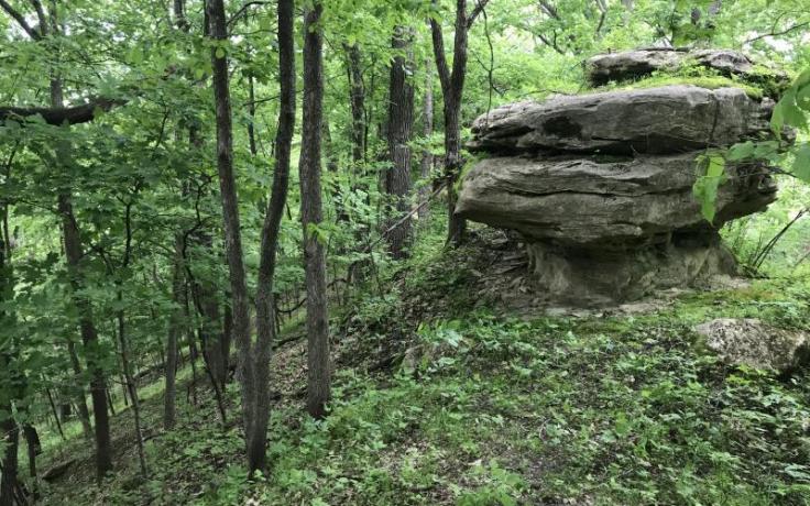 Rock outcropping on Peterson property